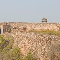 IMG20240115133529