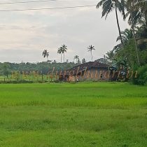 IMG20240914165238
