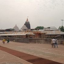 IMG20250404125313