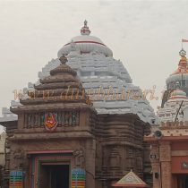 IMG20250404130031