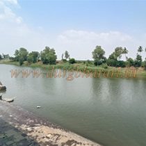 IMG20250423142928