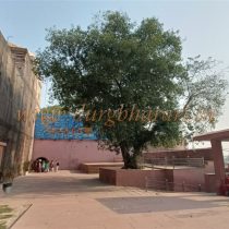 IMG20250430073041