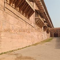 IMG20250430075837